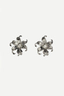 Aretes Fabulous Silver