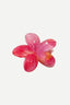 Gancho Aloha Pink
