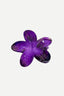Gancho Aloha Purple