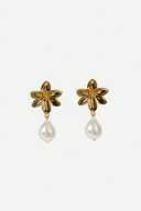 Aretes Gerbera Gold