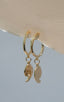 Aretes Shell Concha